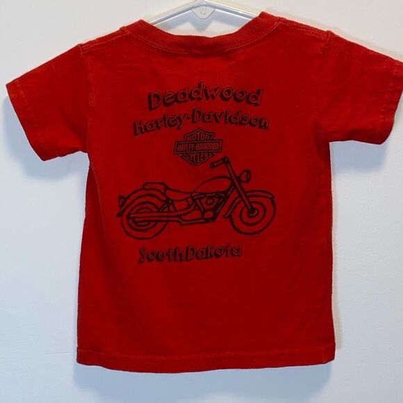 Kid’s Harley Davidson’s Double Sided Motorcycle Graphic T-Shirt - Picture 5 of 6